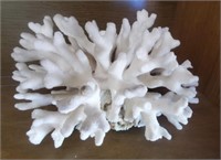 Decorative Coral Piece