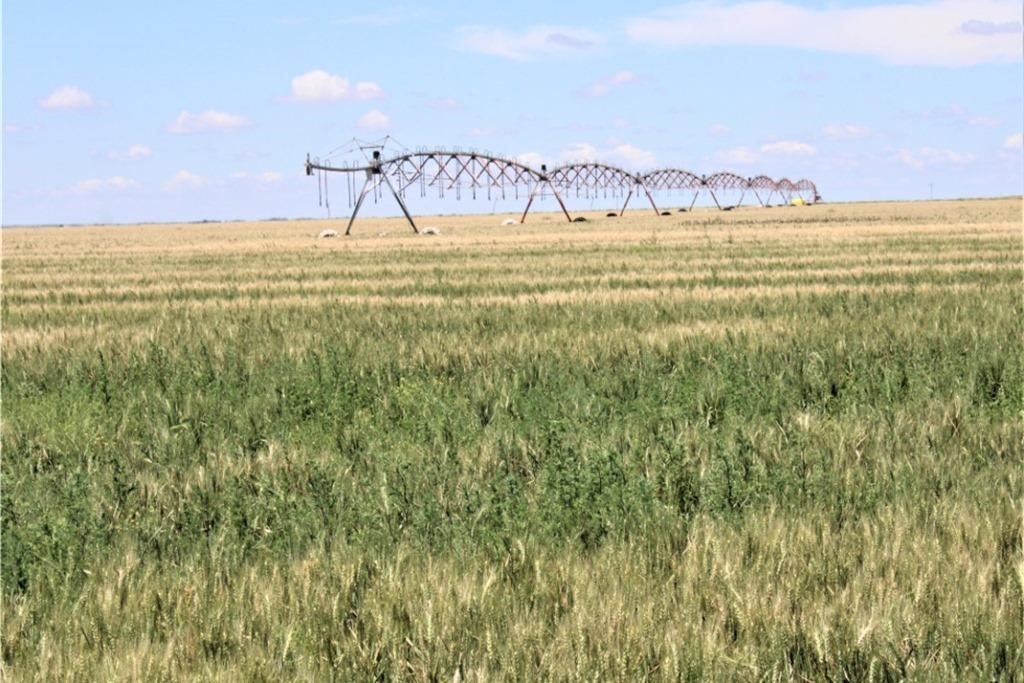 Box Butte County Pivot Irrigated Farms