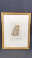 Framed Leaf Print Signed Jacaranda