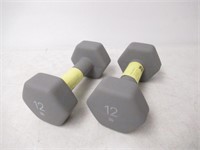 (2) All in Motion™ 12lbs Dumbbells
