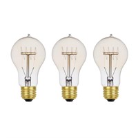 Globe Electric Edison Incandescent Light Bulb - 60