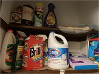 CLEANING PRODUCTS, CLOROX, BRILLO PADS, SCRUBBING