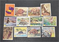 Dinosaur Stickers Panini Kellogs Cartes Cards Cols