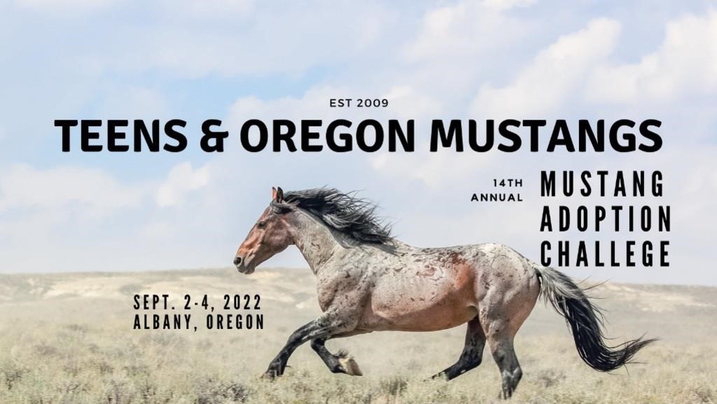 2022 Mustang Adoption Challenge Auction