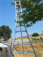 COMMERCIAL GRADE CHERRY PICKING LADDER