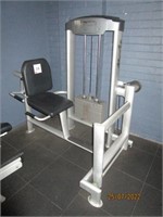 Synergy Rotary Calf pin weight exercise machine