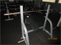 Steel framed decline bench press, vinyl padding