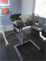 Iron edge glute and hamstring bench, steel framed
