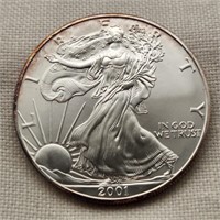 2001 Silver Am Eagle Dollar