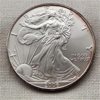 2006 Silver Am Eagle Dollar
