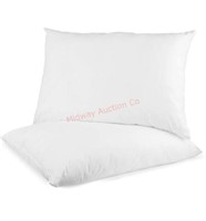 Digital Decor Set of 2 Premium Gold Hotel Pillows