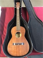 CASTILLA Guitar with case