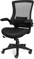 iCoudy Ergonomic Mesh Office Chair