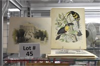 Hand Colored Plate Blocks & Lithographic Prints: