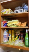 Group of Laundry and Cleaning Supplies