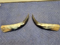 Hollowed Out Decorated Bull Horns
