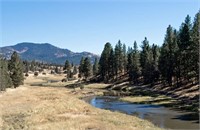 Secluded 1.1 Acres in Modoc County, California!