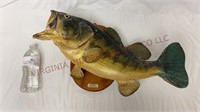 Vintage Largemouth Bass Mounted by Archie Phillips