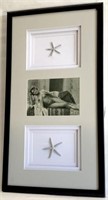 (3) framed pieces - Triple mount - Starfish with