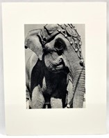 (3) Photographs - Circus Elephant, COA states