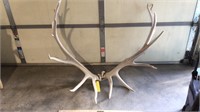 ELK ANTLERS