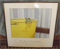 THE NATURE COMPANY FROG PICTURE