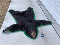Black bear skin rug