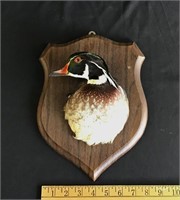 Wood duck mount