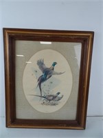 Vintage Pheasant Print - 21x25