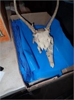 Deer Skull & Sap Bags