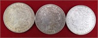 3 - 1921 Morgan Dollars