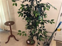 Plastic Ficus Tree