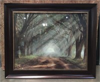 Framed Photography, 34inX28in