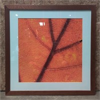 Matted & Framed Photograph, 30inX30in