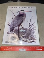 The Birds of Indiana Oil Paintings Zimmerman Book