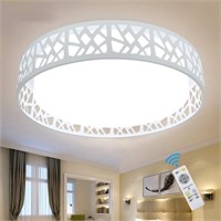 DLLT Modern Ceiling Light with Remote