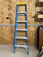 Warner blue 6 foot fiberglass stepladder