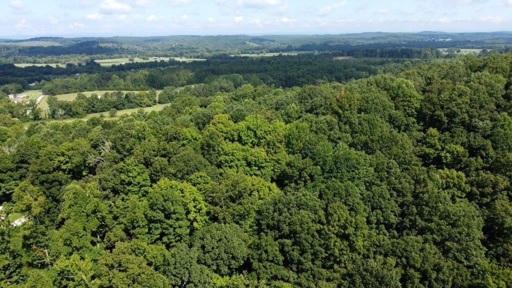 MCMINN & MEIGS COUNTIES LAND AUCTION