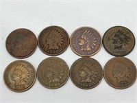 Lot of 8 Indian Head Cents