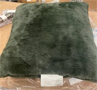 Beautiful Green Throw Pillow NEW