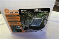Sensible Solar hybrid pump