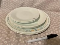 CORELLE DISHES GROUP