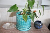 Houseplant, tray, vase & more