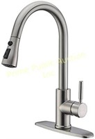 WEWE $65 Retail Single Handle High Kitchen Faucet