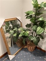 Mirror and Fake Plant