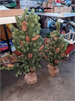 (2) Decorative Pine Trees