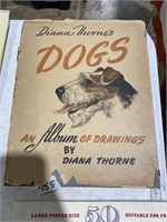 Album of drawings by dianna Thorne