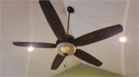 Large Ceiling Fan Lighted