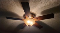 Ceiling Fan Lighted