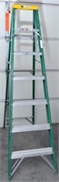 Davidson 8ft Aluminum Ladder
